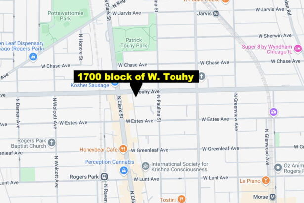 Mother stabbed 7-year-old son in Rogers Park: report