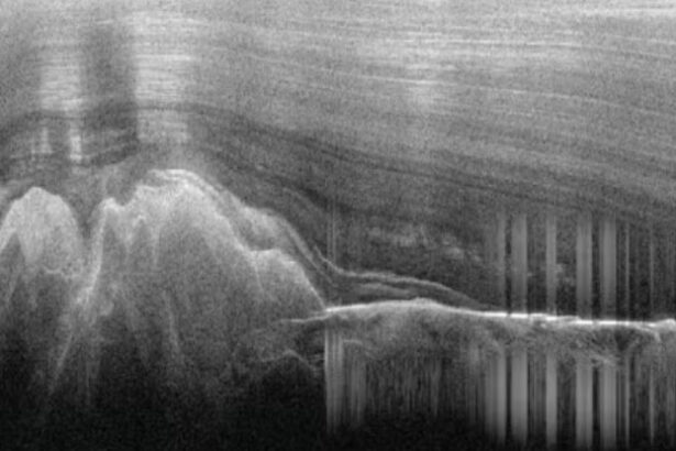 Mountain Range Hiding Beneath Antarctica’s Ice Frozen in Time, Study Finds : ScienceAlert