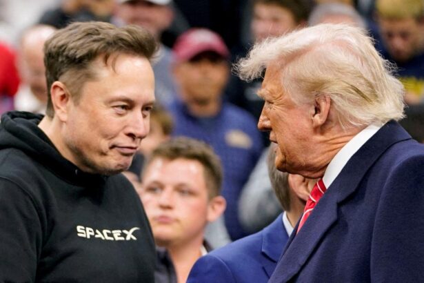 Musk leaving Trump administration, White House confirms
