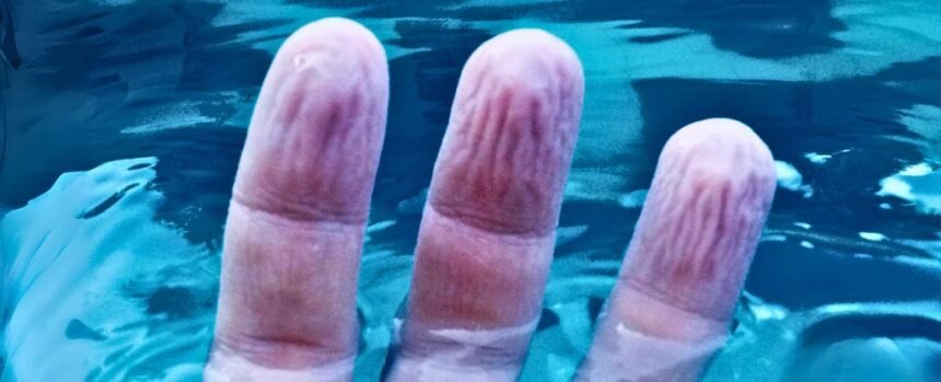 Mystery About The Way Fingers Wrinkle in Water Might Have an Answer : ScienceAlert