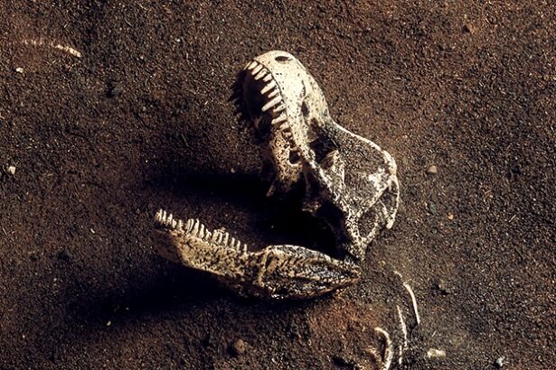 Mystery of T. Rex’s Debated North American Origins Finally Solved : ScienceAlert