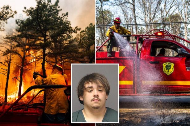 NJ teens accused of setting Jones Road Wildfire told cops Mexicans started it