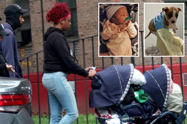 NYC newborn’s family claims she died from SIDS after ME confirmed pit bull wasn’t culprit