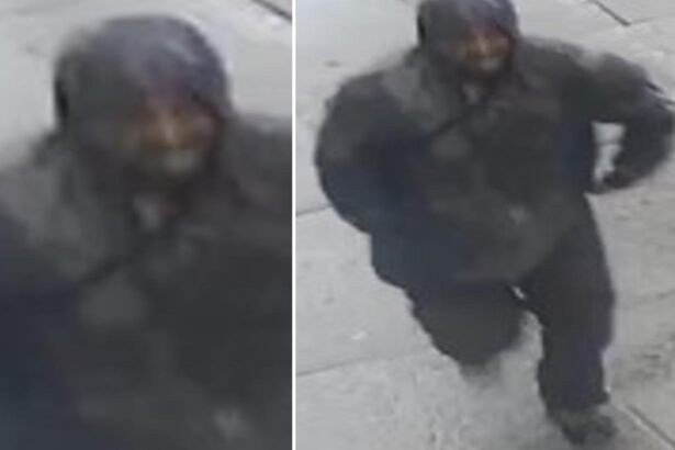 NYC woman, 32, lucky to be alive after stranger tries to shoot her from behind, missing her by ‘a centimeter’: cops