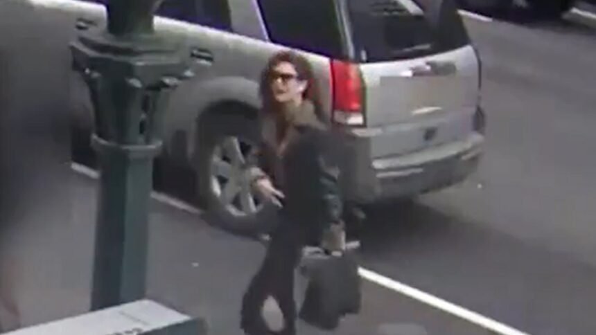 NYPD Releases Footage of Sexy Suspect Sought in Alleged Scissor Attack