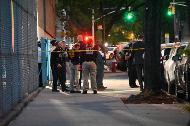 NY’s justice ‘reforms’ claim another innocent child’s life — and also failed her alleged teen shooter