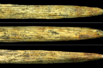 Neandertals invented bone-tipped spears all on their own