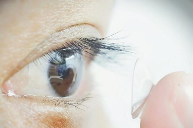 New Infrared Contacts Let You See in the Dark