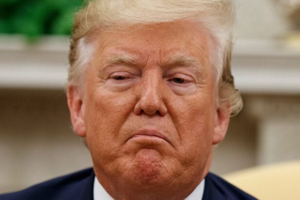 New York Post Shreds Major Team Trump Claim About His Motives