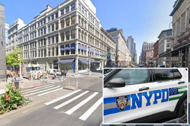 New York pregnant woman bashed in the head by ‘disheveled lunatic’ in Chelsea, police say