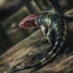 Newly Discovered Fossil Tracks May Rewrite Early History of Reptiles