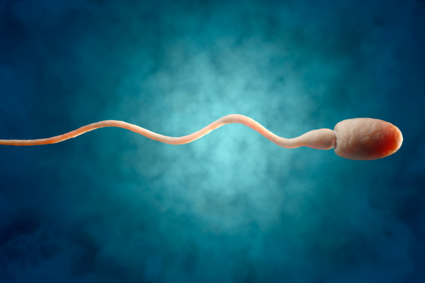 Next-generation male contraceptives could rely on the perfect temperature