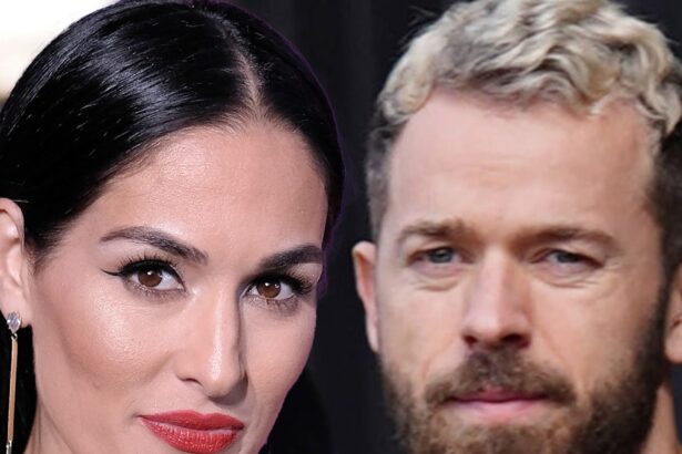 Nikki Bella to Pay Artem Chigvintsev ,500 Per Month in Child Support