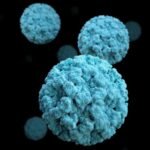 Norovirus vaccine pill protects against winter vomiting bug