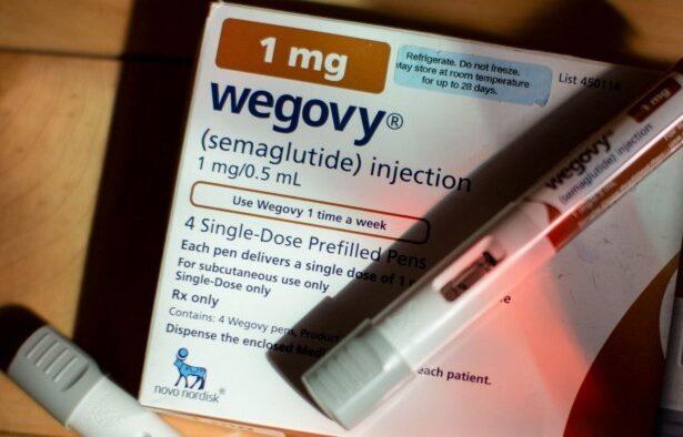 Novo Nordisk cuts forecasts after replica obesity drugs hit US take-up