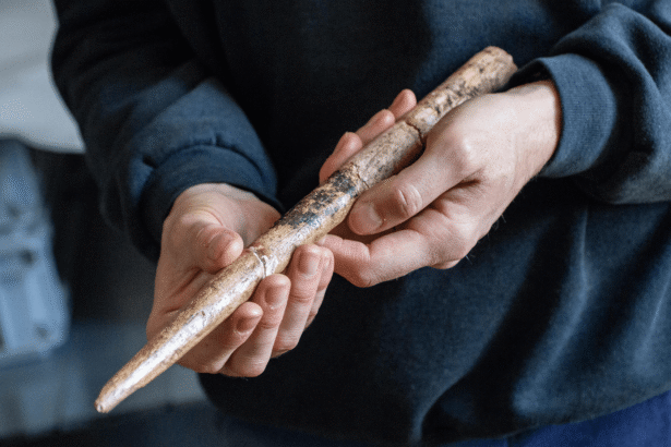 Oldest-known whale bone tools discovered in a Spanish cave