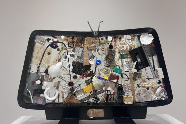 One Man’s Trash Is Another’s Art
