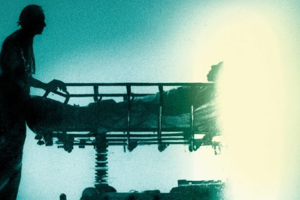 Over 2 Million Americans Went ‘Missing’ During 2020 And 2021 : ScienceAlert