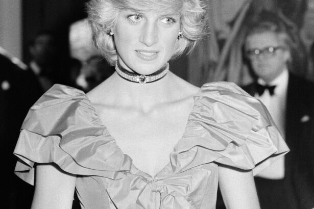 From American Gigolo to Princess Diana—Bottega Veneta Celebrates 50 Years of Its Iconic Intrecciato Bags
