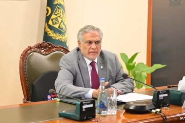 ‘Pakistan Agrees To Immediate Ceasefire,’ Says Foreign Minister Ishaq Dar