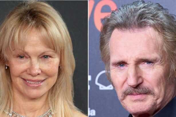 Pamela Anderson Sparks Relationship Rumors With Liam Neeson
