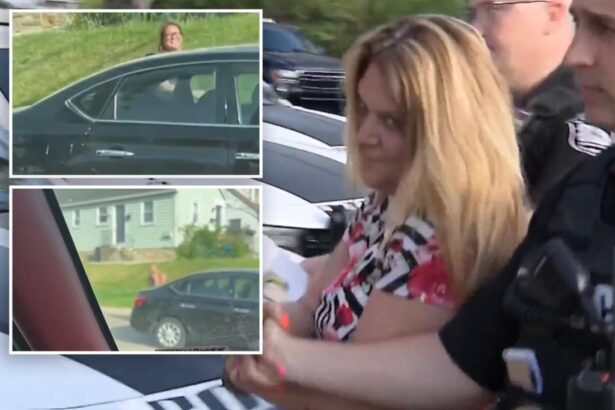 Pennsylvania woman Christina Solometo defecated on car during road rage dispute