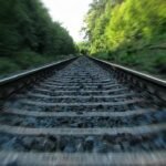 Pet Escapes And Falls On Train Track? 20 Minutes To Retrieve It, Says France