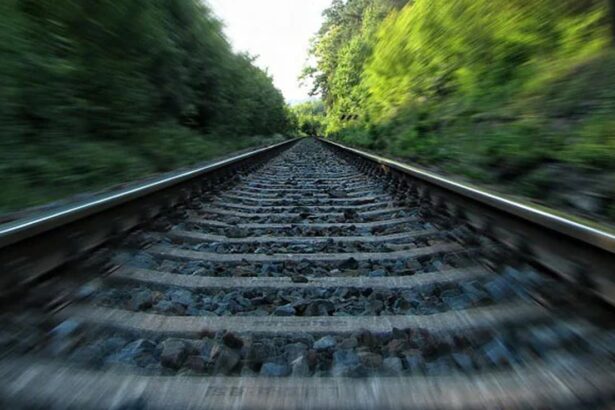 Pet Escapes And Falls On Train Track? 20 Minutes To Retrieve It, Says France