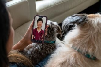 PetMeds And Dutch Team Up For Veterinary Care And Prescriptions