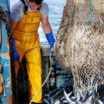 Plans to reset UK-EU relations hit trouble over fishing rights and youth mobility