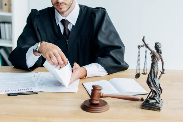 Politicians in Black Robes – Econlib