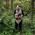 Powerful images capture the fragility and resilience of our planet
