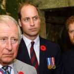 Prince Harry, King Charles III’s Ups and Downs: Timeline