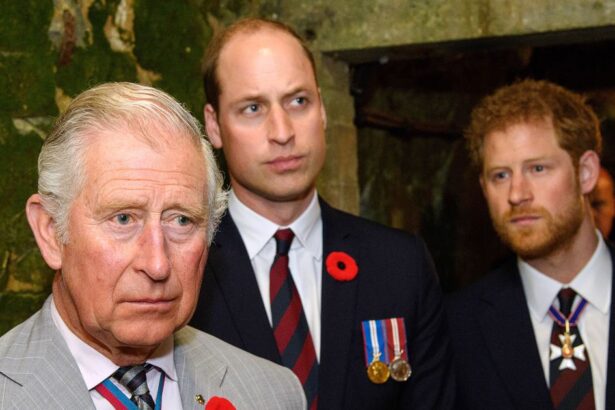 Prince Harry, King Charles III’s Ups and Downs: Timeline