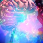 Psychedelics Could ‘Rewire’ The Brain to Reduce Alcohol Consumption : ScienceAlert