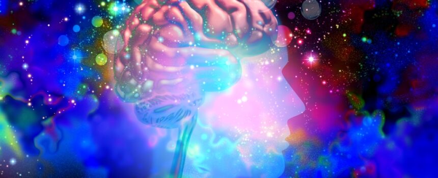 Psychedelics Could ‘Rewire’ The Brain to Reduce Alcohol Consumption : ScienceAlert