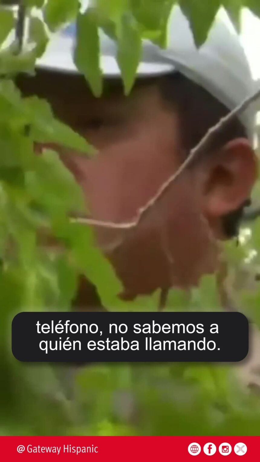 Raul, the tree-climbing illegal – Gateway Hispanic