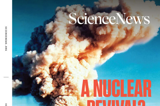 Readers discuss the biology of sex, plastic in the brain and more