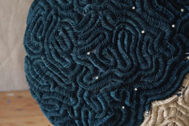 Recycled Materials Draw Attention to Ocean Plastics in Ana Brecevic’s Assemblages — Colossal