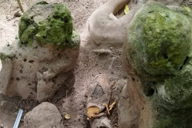 Remains of 3,000-Year-Old Maya City Discovered in Guatemala : ScienceAlert