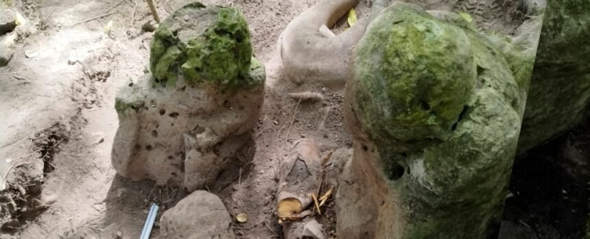 Remains of 3,000-Year-Old Maya City Discovered in Guatemala : ScienceAlert