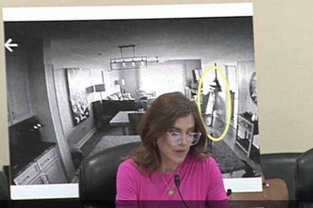 Rep. Nancy Mace Shares Nude Photo of Herself During House Hearing on ‘Surveillance in Private Spaces’ (VIDEO) |