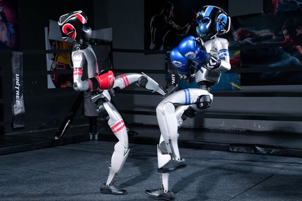 Robots square off in world’s first humanoid boxing match