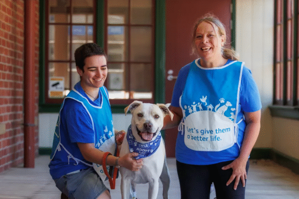 SPCA restarts annual appeal, seeks helpers