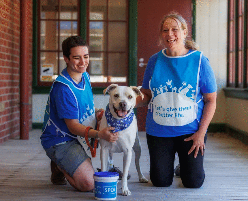 SPCA restarts annual appeal, seeks helpers