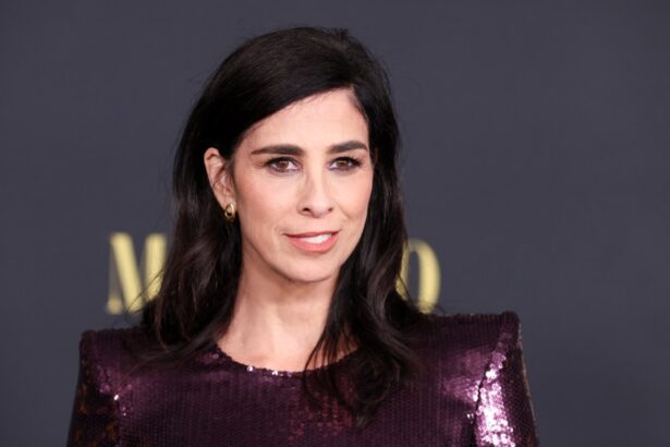 Sarah Silverman Says Conan O’Brien Saved Her Career After SNL Firing