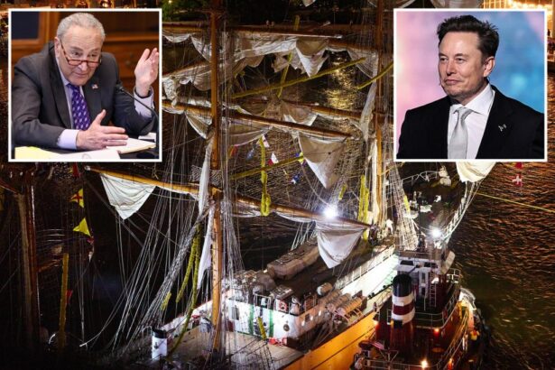 Schumer bizarrely claims DOGE could have been partly to blame for Mexican ship’s deadly Brooklyn Bridge mishap