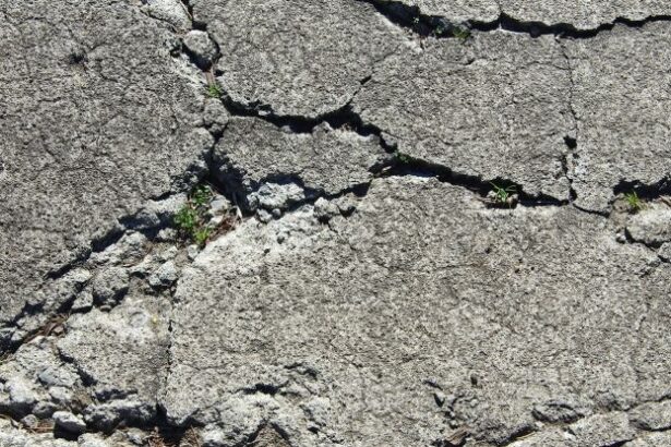 Scientists Developed a Kind of ‘Living Concrete’ That Heals Its Own Cracks : ScienceAlert
