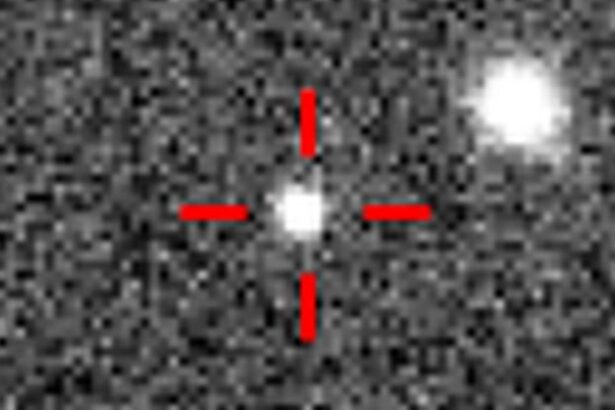 Scientists Discover New Dwarf Planet in Solar System, Far Beyond Pluto : ScienceAlert