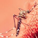 Scientists Discover West Nile Virus in The UK For The First Time : ScienceAlert